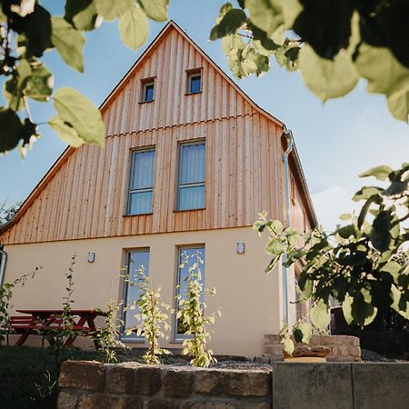 Ferienhaus Am Hoernchen Glashutte  Dış mekan fotoğraf